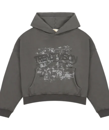 Trendt Vision Frost Grey Hoodie